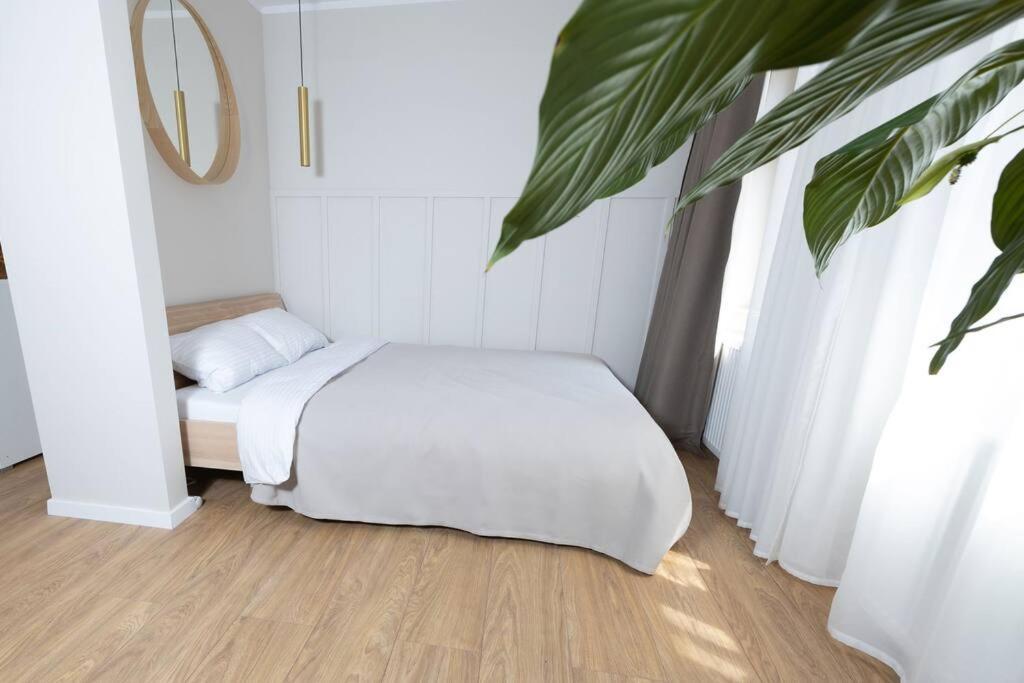 Design & Relax #Altstadt #Sauna Wittenberg Exterior foto